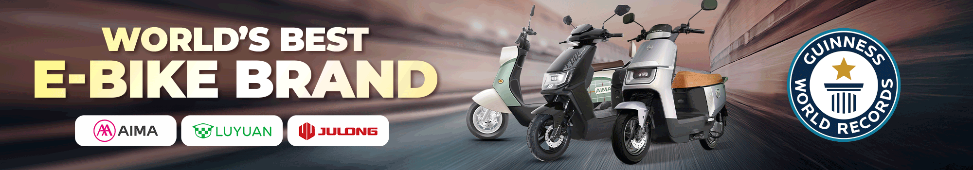 Electric Bike