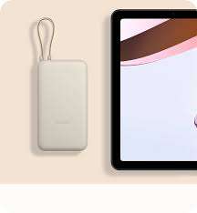Xiaomi 33W Power Bank 20000mAh (Integrated Cable)